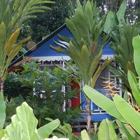 Puerto Viejo de Talamanca Hotel Casitas Mar Y Luz מראה חיצוני תמונה