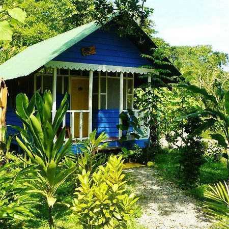 Puerto Viejo de Talamanca Hotel Casitas Mar Y Luz מראה חיצוני תמונה