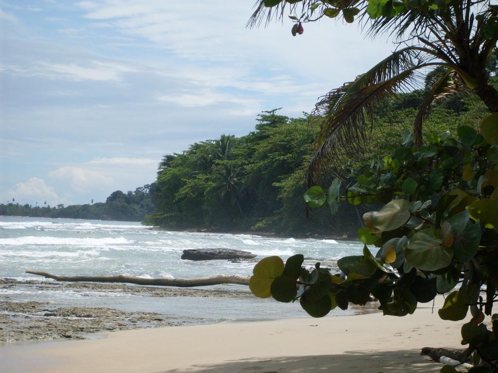 Puerto Viejo de Talamanca Hotel Casitas Mar Y Luz מראה חיצוני תמונה