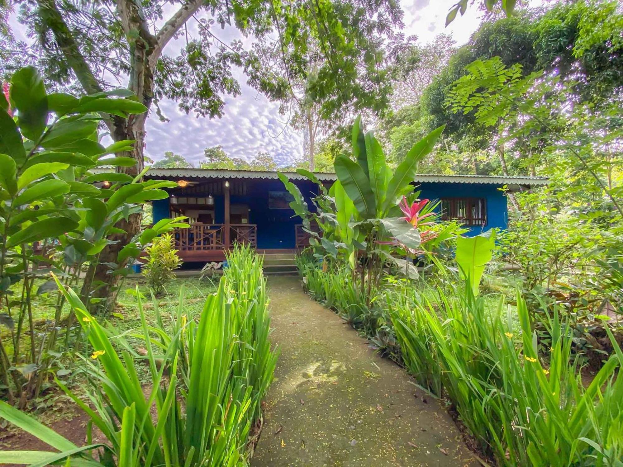 Puerto Viejo de Talamanca Hotel Casitas Mar Y Luz חדר תמונה