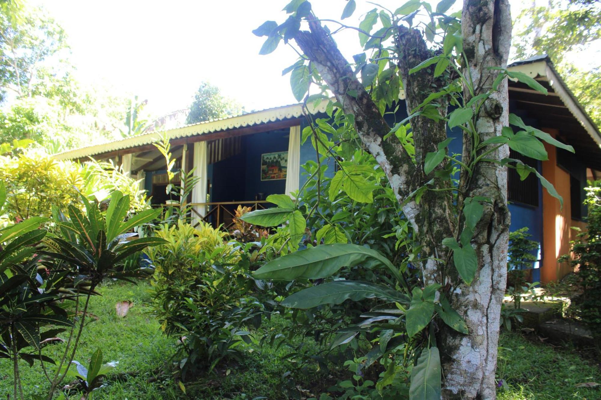 Puerto Viejo de Talamanca Hotel Casitas Mar Y Luz מראה חיצוני תמונה
