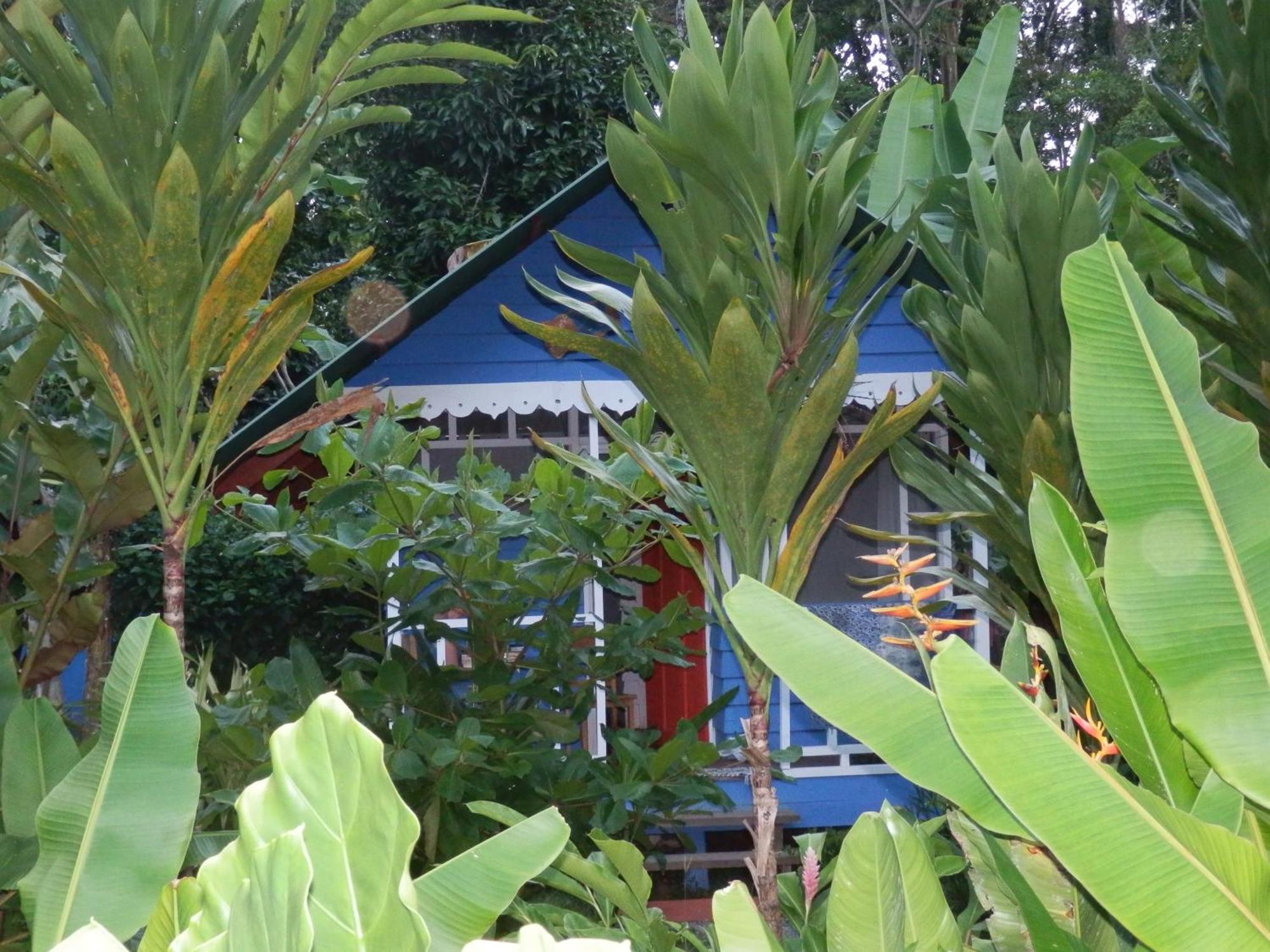 Puerto Viejo de Talamanca Hotel Casitas Mar Y Luz מראה חיצוני תמונה