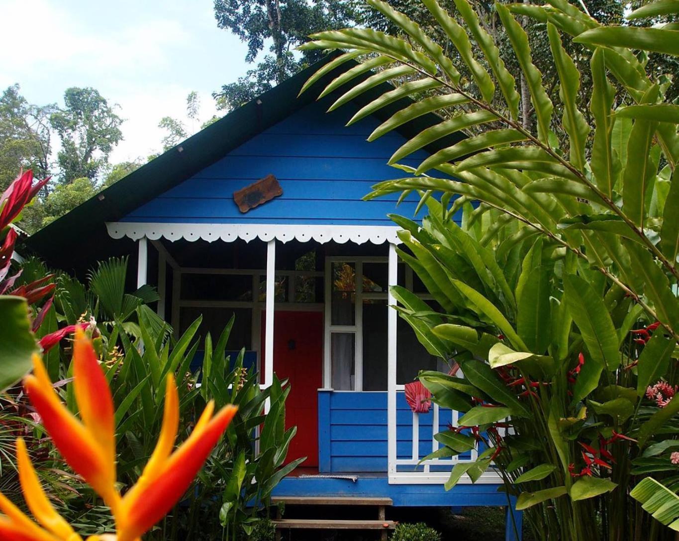 Puerto Viejo de Talamanca Hotel Casitas Mar Y Luz מראה חיצוני תמונה
